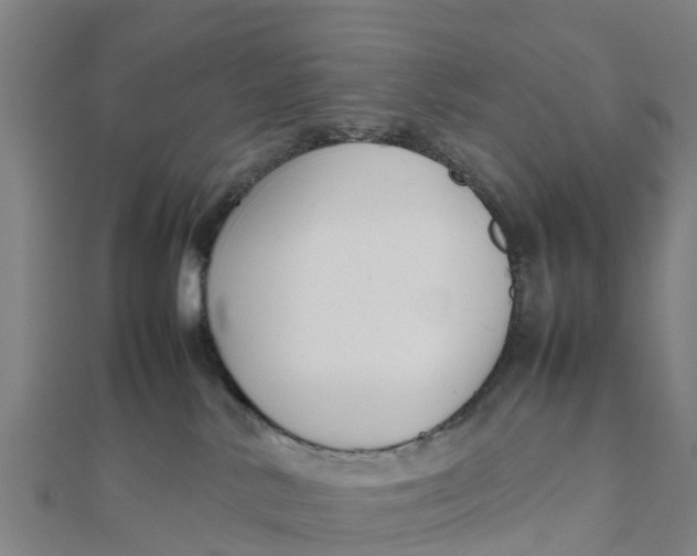 X0000111530042200908041313