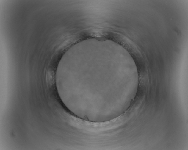 X0000111530043200908041313