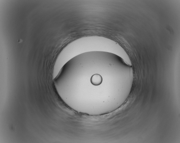 X0000111530045200908041313