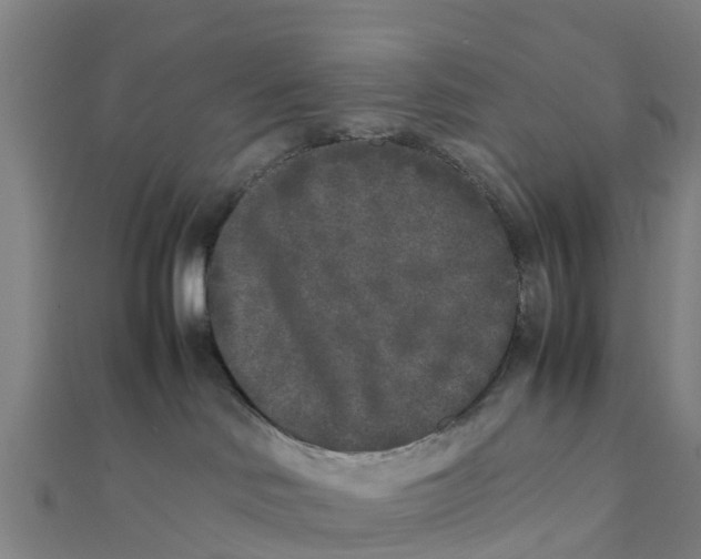 X0000111530046200908041313