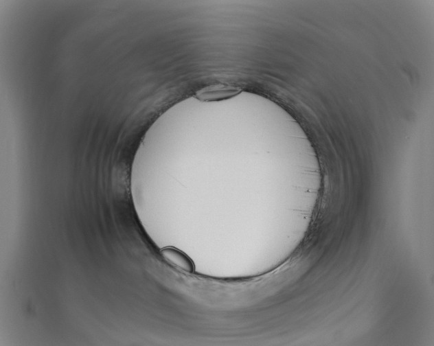 X0000111530048200908041313