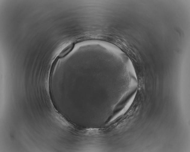 X0000111530052200908041313