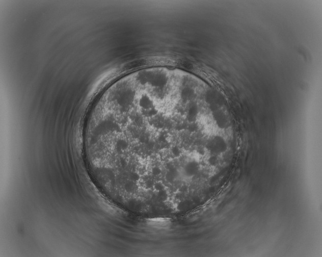 X0000111530053200908041313