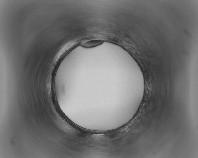 X0000111530054200908041313