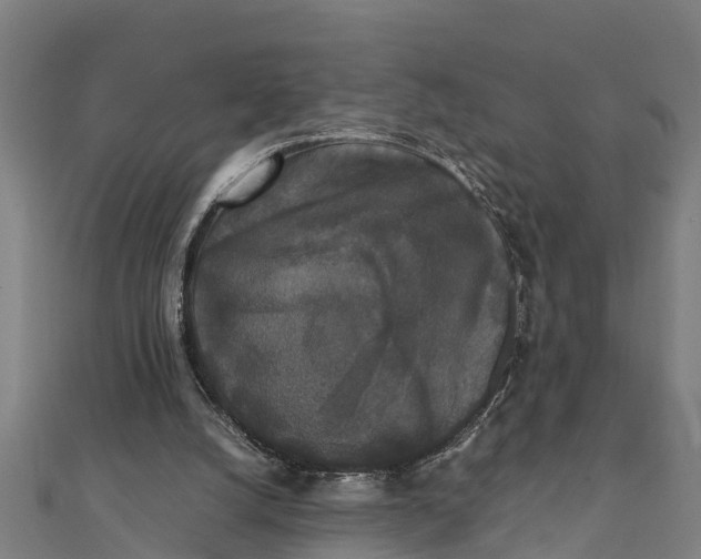 X0000111530056200908041313