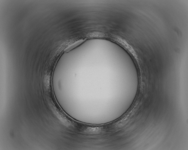 X0000111530057200908041313