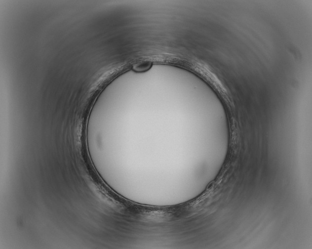 X0000111530058200908041313