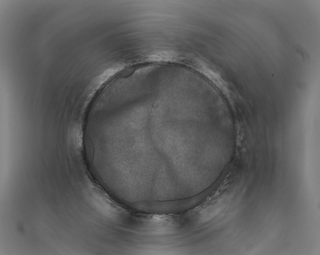 X0000111530060200908041313