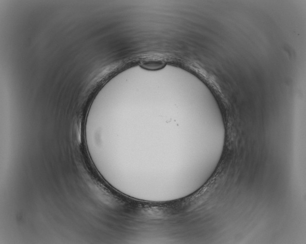 X0000111530062200908041313