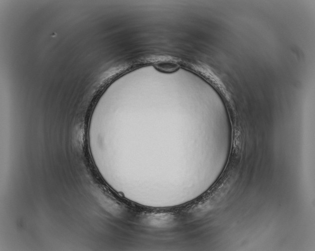 X0000111530063200908041313