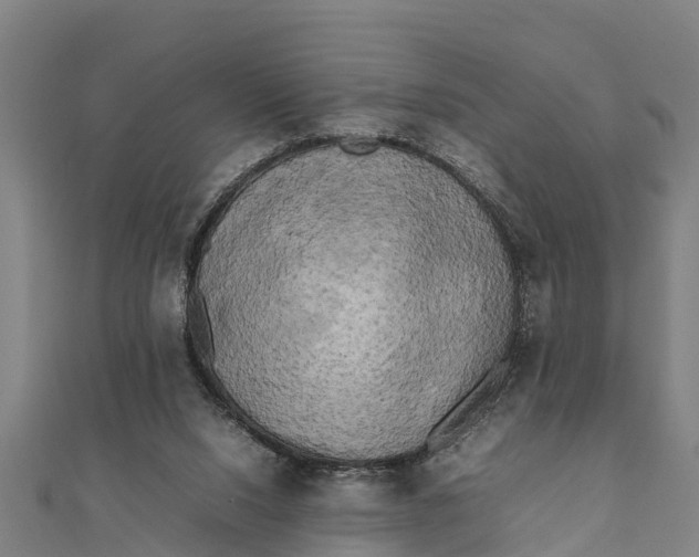 X0000111530064200908041313