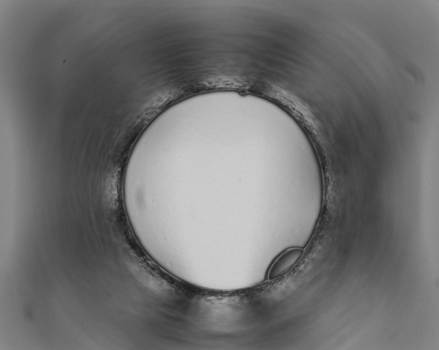 X0000111530065200908041313