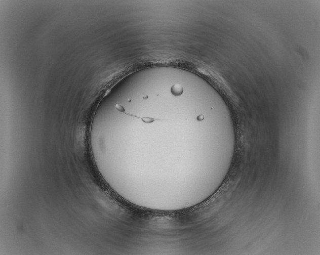 X0000111530066200908041313