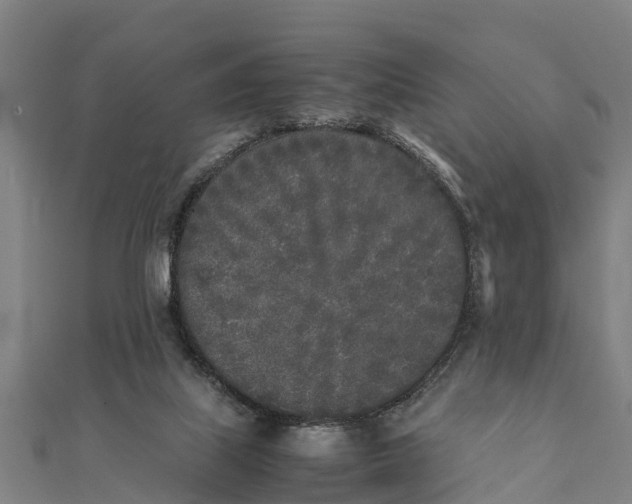 X0000111530067200908041313