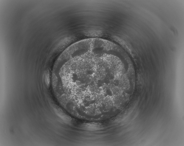 X0000111530069200908041313