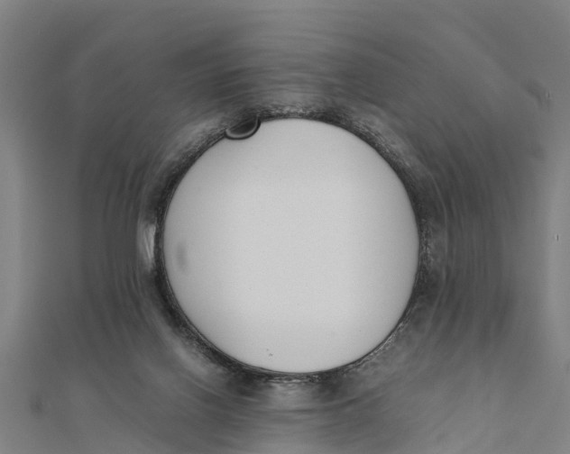 X0000111530070200908041313