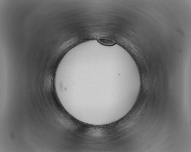 X0000111530071200908041313