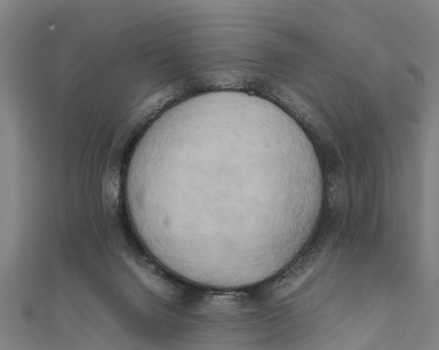 X0000111530072200908041313