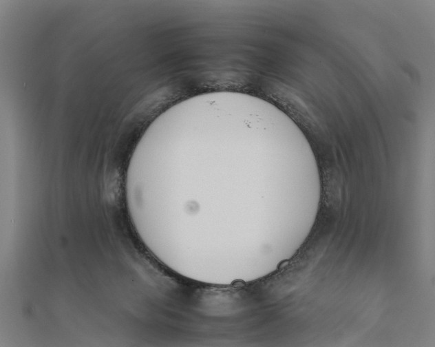 X0000111530077200908041313