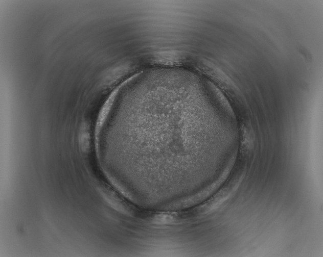 X0000111530080200908041313