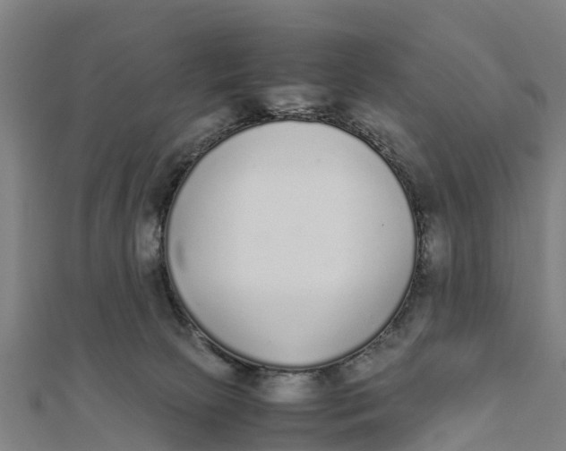 X0000111530081200908041313