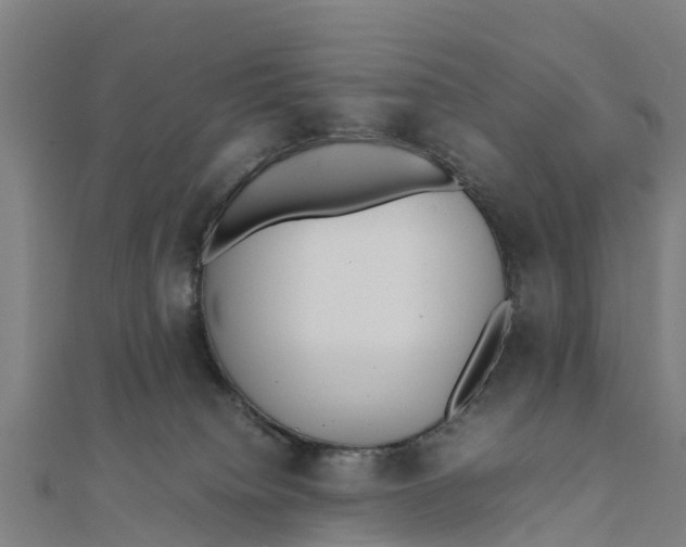 X0000111530084200908041313