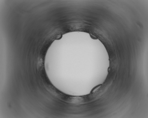 X0000111530087200908041313