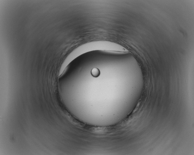 X0000111530088200908041313