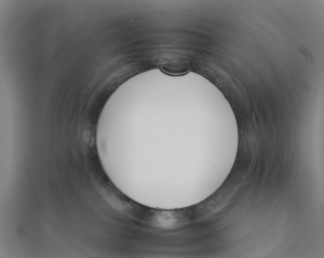 X0000111530091200908041313