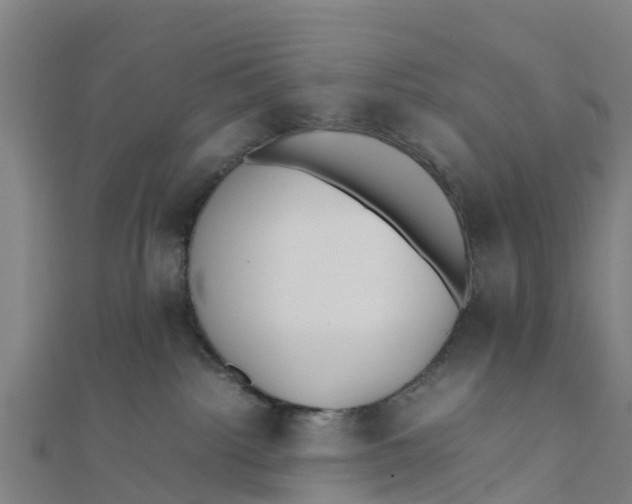 X0000111530092200908041313