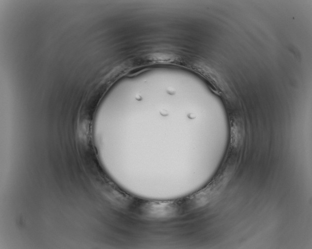 X0000111530093200908041313