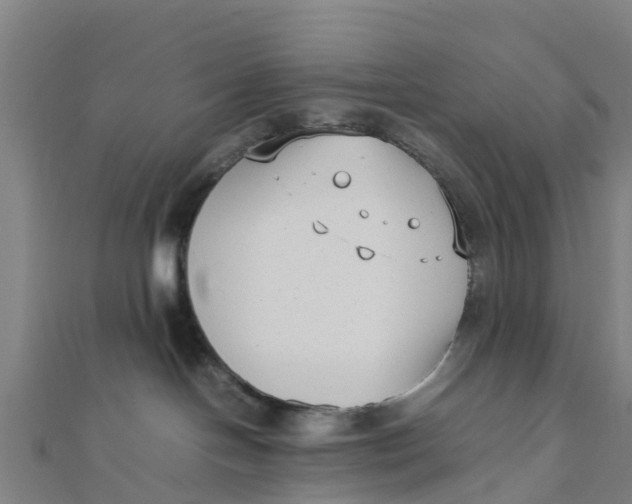 X0000111530094200908041313