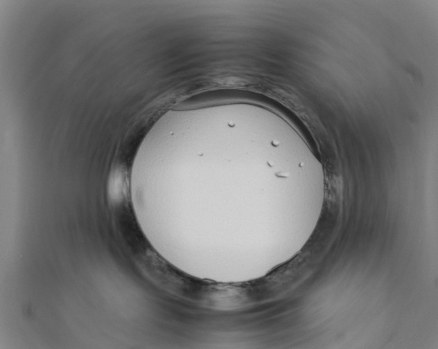 X0000111530095200908041313