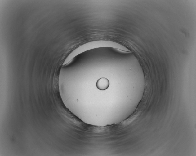 X0000111530096200908041313