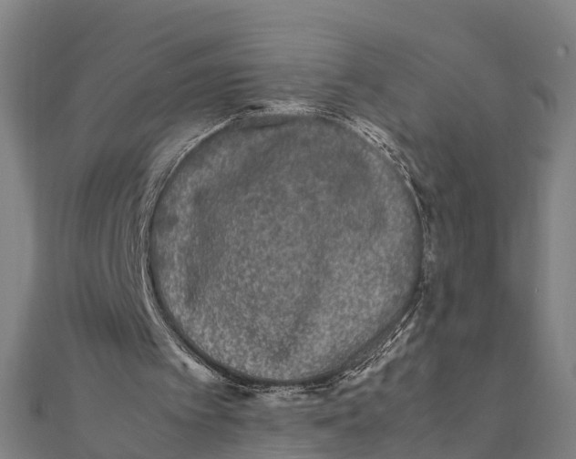 X0000111530097200908041313