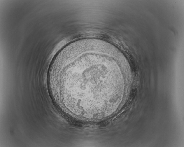 X0000111530099200908041313