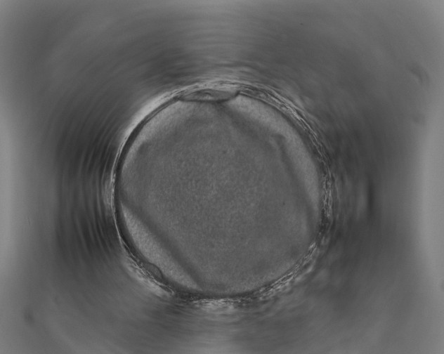 X0000111530100200908041313