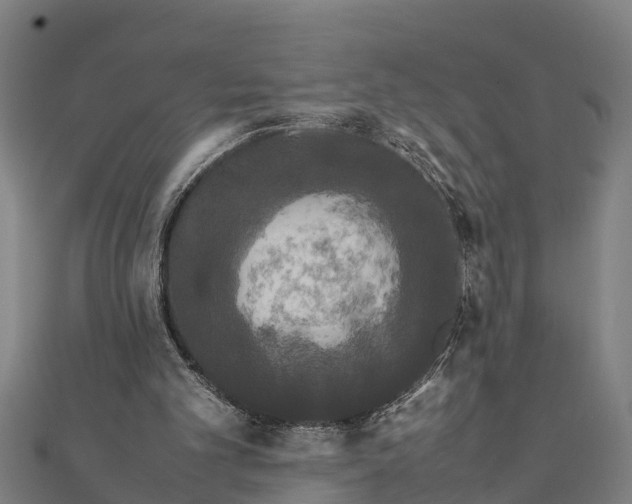 X0000111530101200908041313