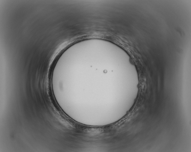 X0000111530102200908041313