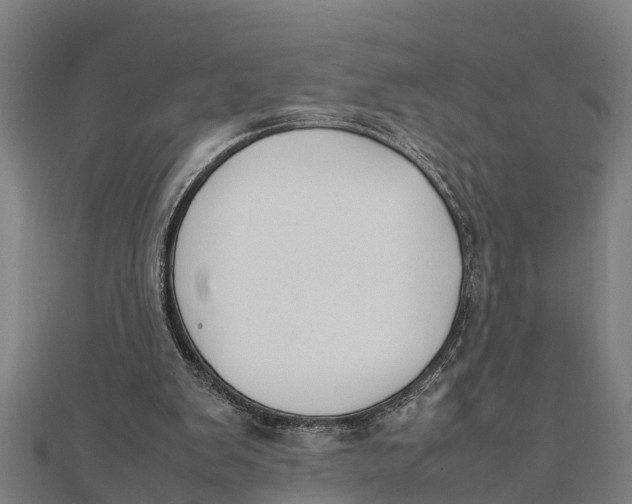 X0000111530103200908041312