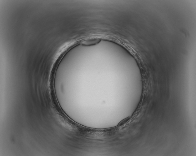 X0000111530104200908041312