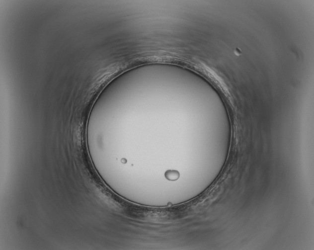 X0000111530105200908041312