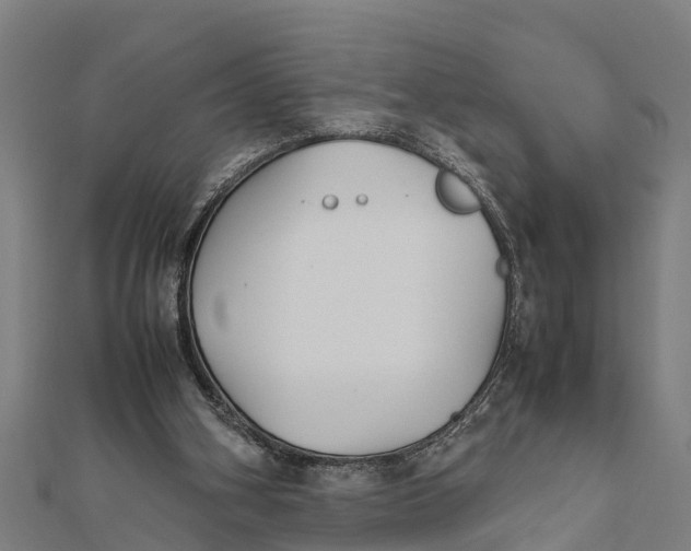 X0000111530106200908041312