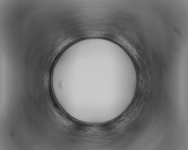 X0000111530107200908041312