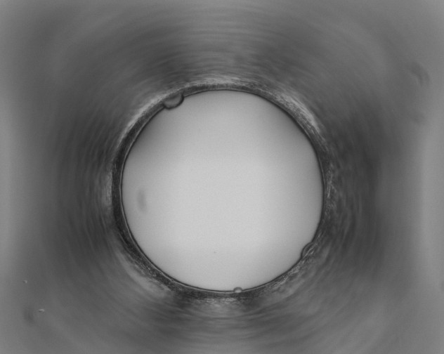 X0000111530108200908041312