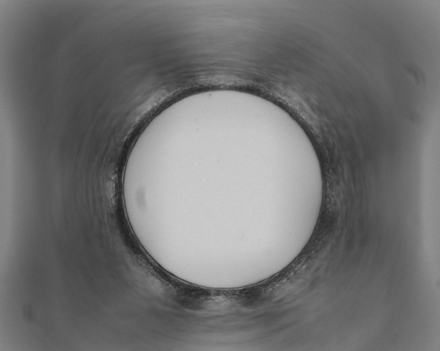 X0000111530111200908041312