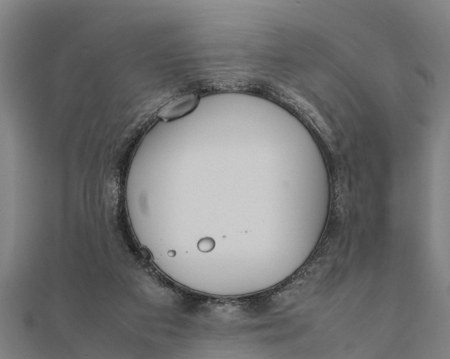 X0000111530113200908041312