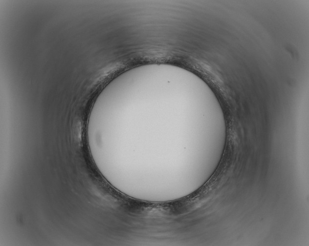 X0000111530115200908041312