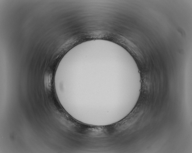 X0000111530118200908041312