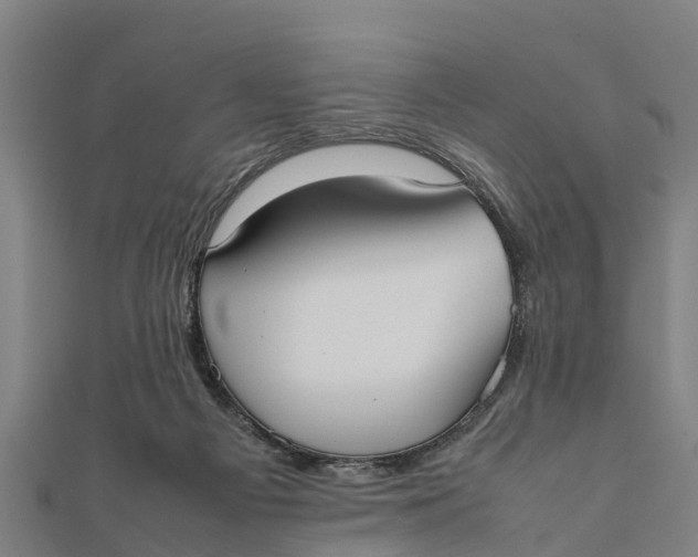 X0000111530121200908041312